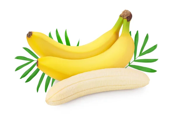 흰 배경에 분리되어 있는 바나나의 길이 좁아 지고 들판이 꽉 들어차 있다. — 스톡 사진