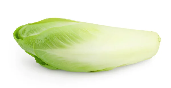 Chicory salatası kırpma yolu ve tam derinlikteki beyaz arkaplanda izole edildi. — Stok fotoğraf