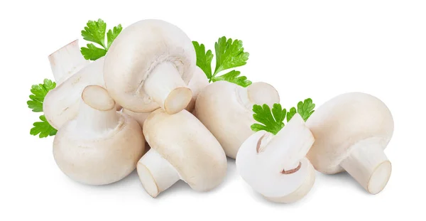 Verse champignon champignon geïsoleerd op witte achtergrond met clipping pad — Stockfoto