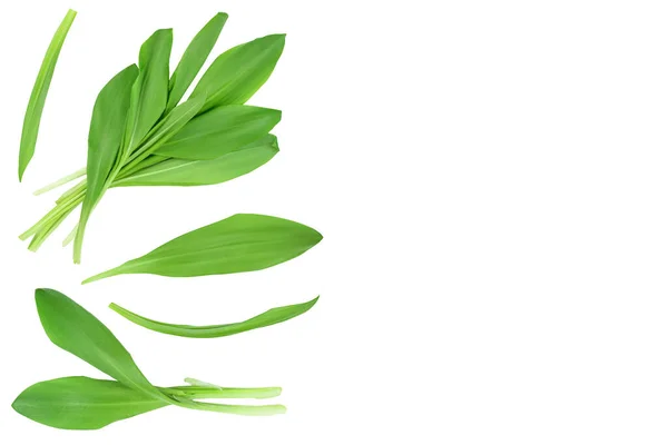 Ramson leaves isolated on white background with clipping path and full depth of field, Top view with copy space for your text. Flat lay — Stock Photo, Image