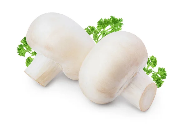 Frischer Champignon Champignon isoliert auf weißem Hintergrund mit Clipping Pfad — Stockfoto