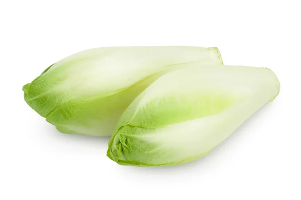 Chicory salatası kırpma yolu ve tam derinlikteki beyaz arkaplanda izole edildi. — Stok fotoğraf