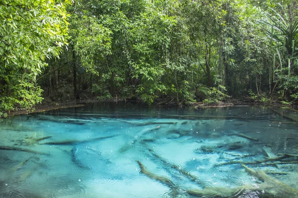 Emerald Pool (sa Morakot), Krabi Tajlandia Obrazy Stockowe bez tantiem
