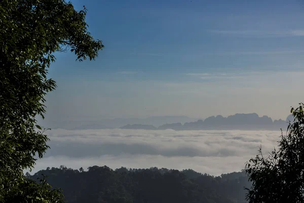 The mist on hill in the morning