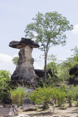 Dünya ayağı Tayland