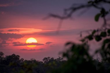 Ormanda gün batımı