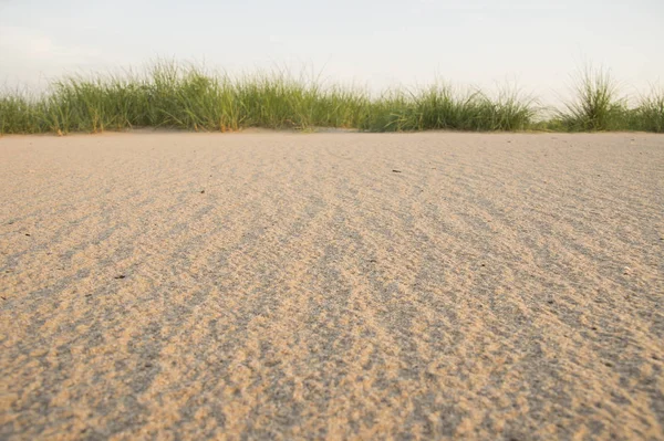 Textura de arena amarilla en la playa — Foto de Stock