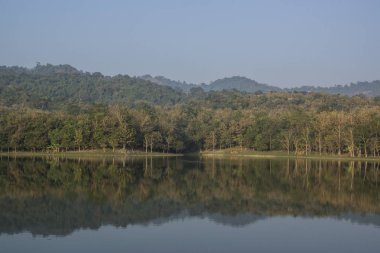 Yaz manzara yeşil orman, nehir ve dağ 