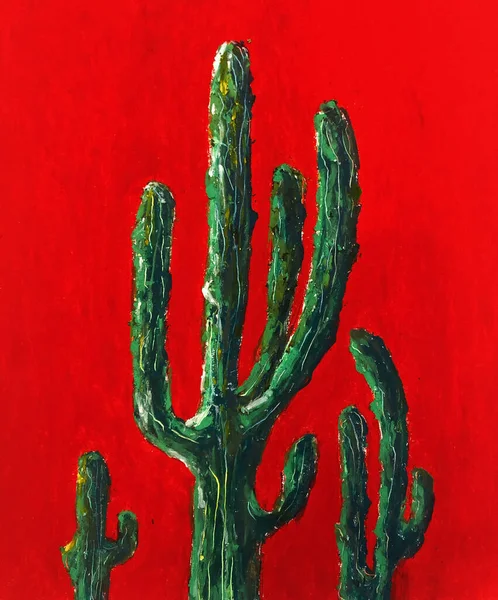 Cactus Dans Jardin — Photo