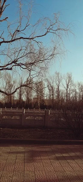 stock image beautiful view of the city park