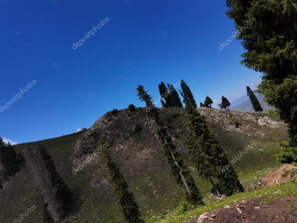 Tuchong-Microstock2