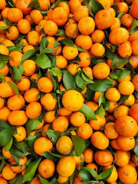 fresh ripe oranges on a white background