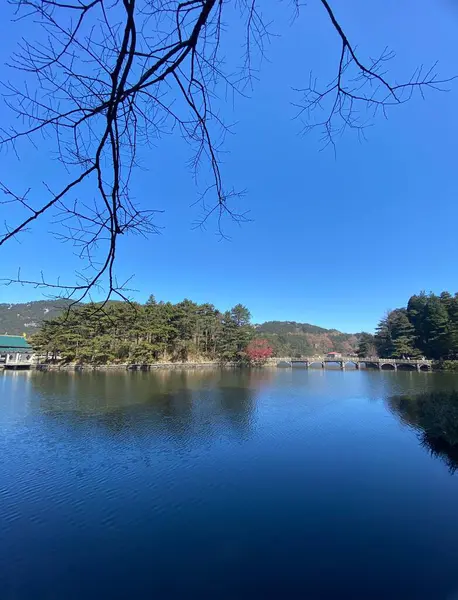 stock image beautiful landscape with lake and trees