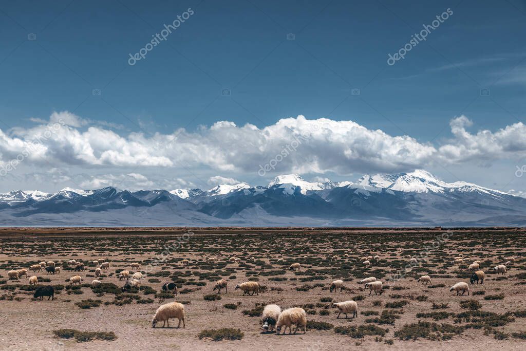 Tuchong-Microstock2