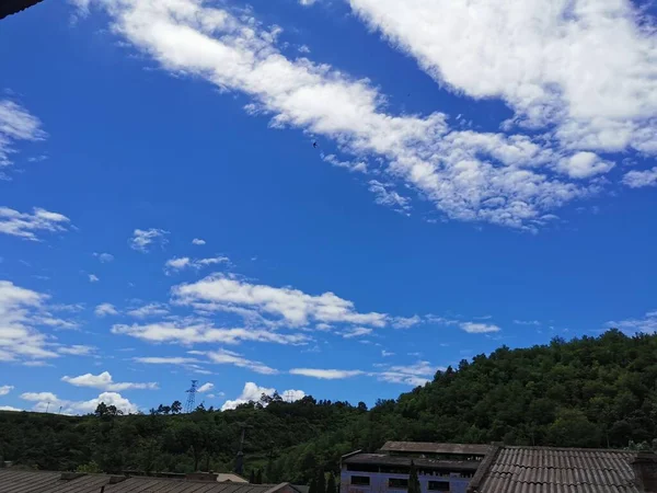 Stock image beautiful landscape with a tree and a blue sky