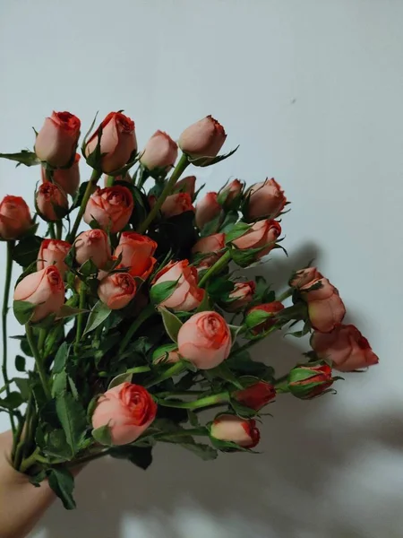 beautiful bouquet of roses in a vase