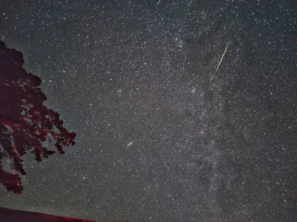 Hermoso Cielo Nocturno Con Estrellas — Foto de Stock