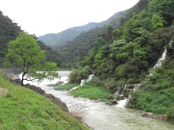 Hermoso Paisaje Con Río Bosque — Foto de Stock
