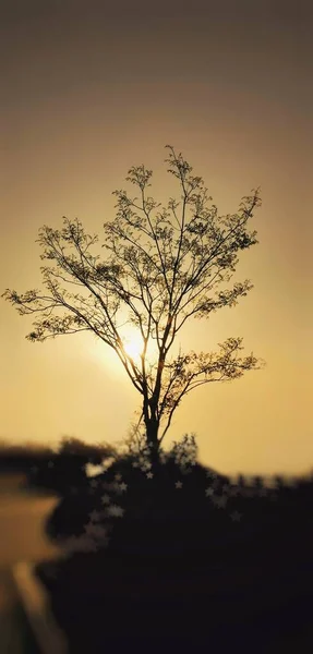 Tuchong-Microstock2