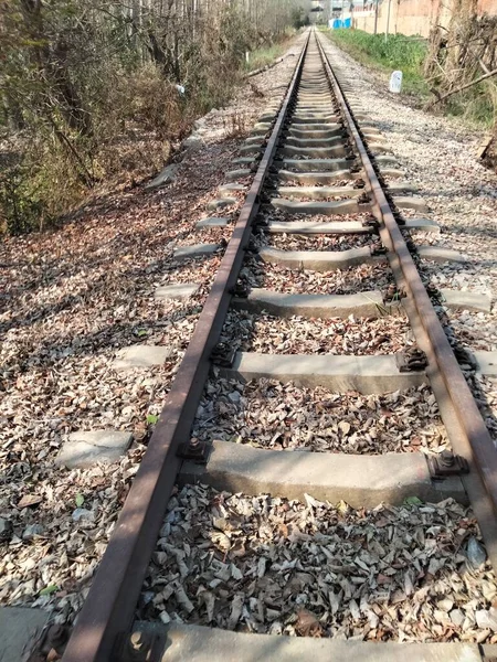 railway tracks on the road