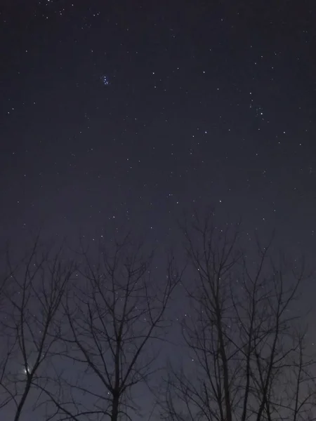 Cielo Nocturno Con Estrellas — Foto de Stock