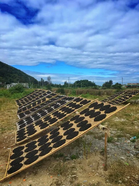 solar panels in the mountains