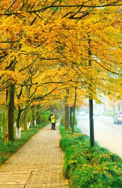 Stock image autumn park in the city