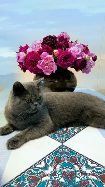 cat with flowers on a white background