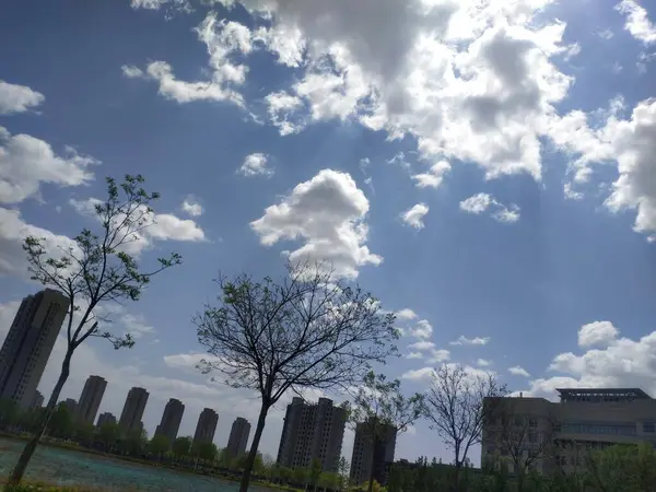 stock image view of the city of the park in the summer