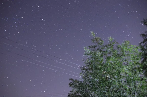 Cielo Nocturno Con Estrellas Árboles — Foto de Stock