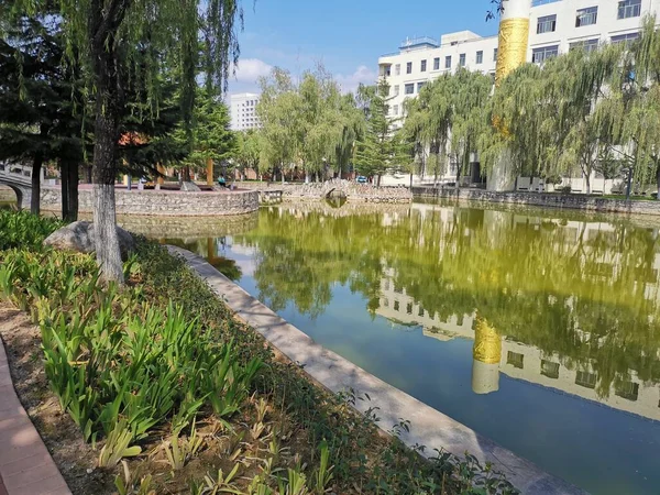 stock image beautiful view of the city of the park