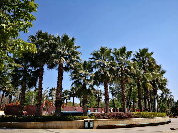 Hermosa Vista Ciudad Barcelona — Foto de Stock