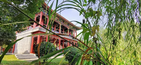 Antigua Casa Madera Parque — Foto de Stock