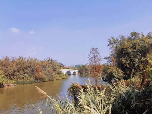 stock image beautiful view of the lake in the park