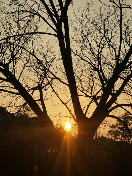 stock image beautiful sunset in the park