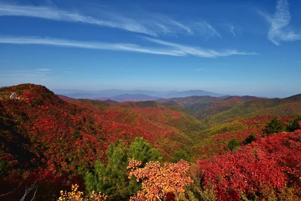 Beautiful Landscape Mountain Mountains — Stock Photo, Image