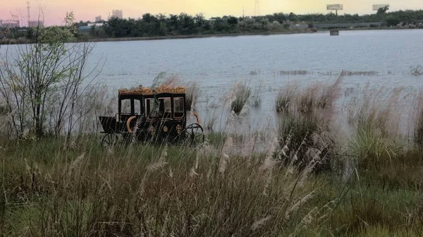 a view of a rural area with a tractor and a cane