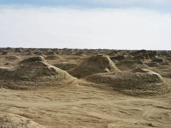 a pile of dry soil in the sand of the negev desert, in the north of israel