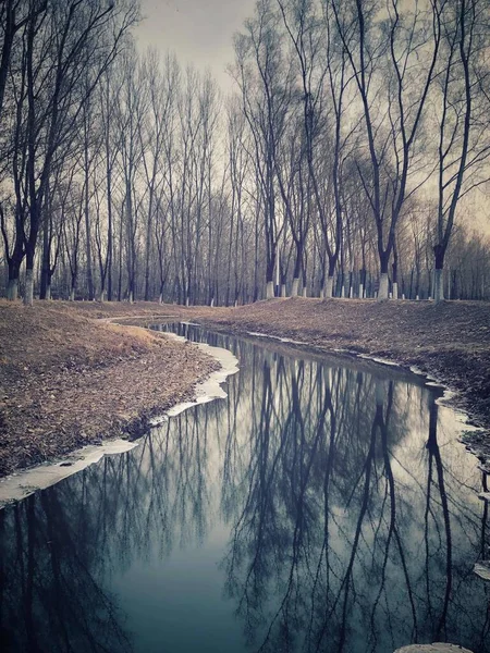 stock image beautiful view of the river in the forest