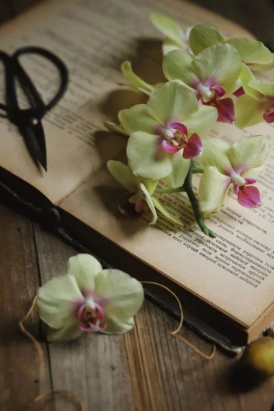 vintage book with flowers and leaves