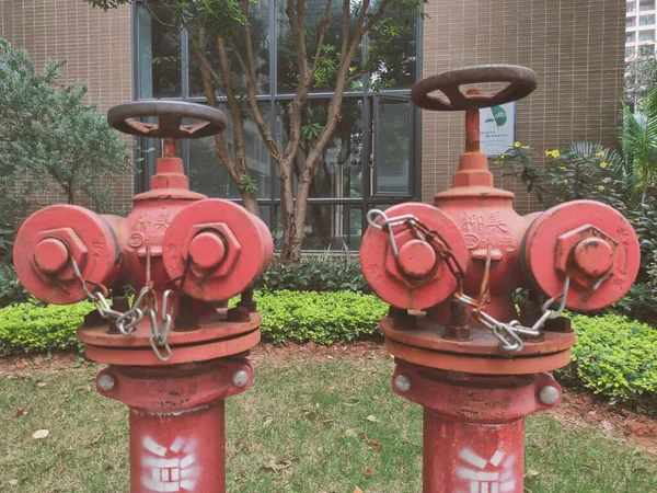 red fire hydrant in the garden