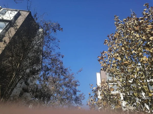 stock image view of the city of the park in the winter