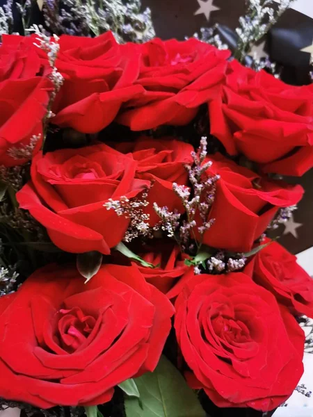 red roses in a flower shop