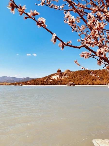 Bella Vista Del Paesaggio Naturale — Foto Stock