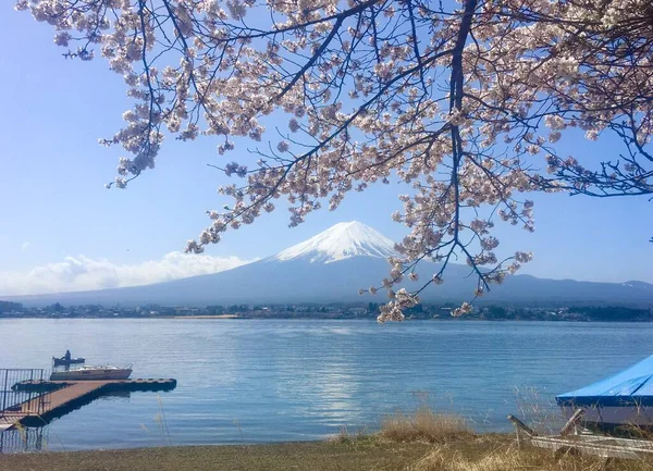beautiful landscape of lake in japan