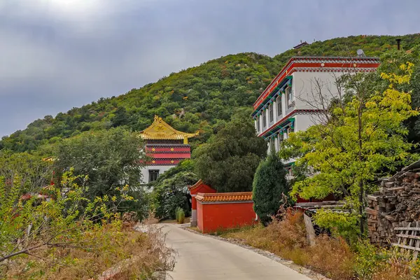 Bella Architettura Nella Città Della Cina — Foto Stock