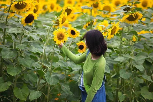 young woman in sunflower field