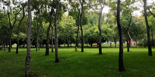 stock image beautiful view of the park