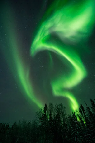 green northern lights in the arctic mountains