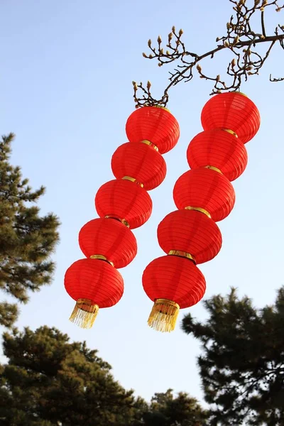 Chinese New Year Tree Decoration — Stock Photo, Image